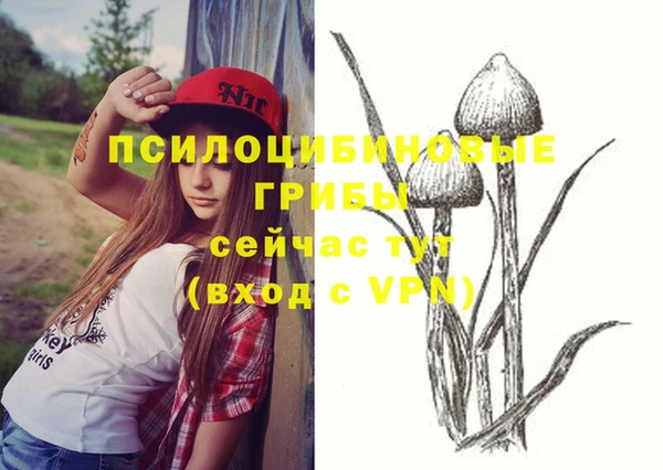 крисы Нефтегорск