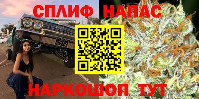 стафф Абинск