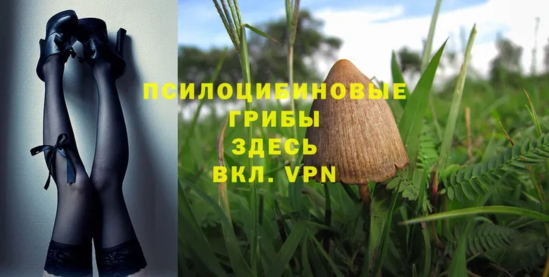 Псилоцибиновые грибы Magic Shrooms  гидра ТОР  Аксай  даркнет сайт 