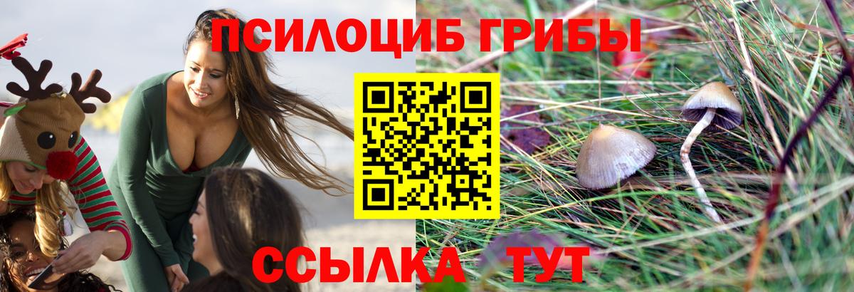 Аксай  Галлюциногенные грибы Magic Shrooms  Вход с VPN 