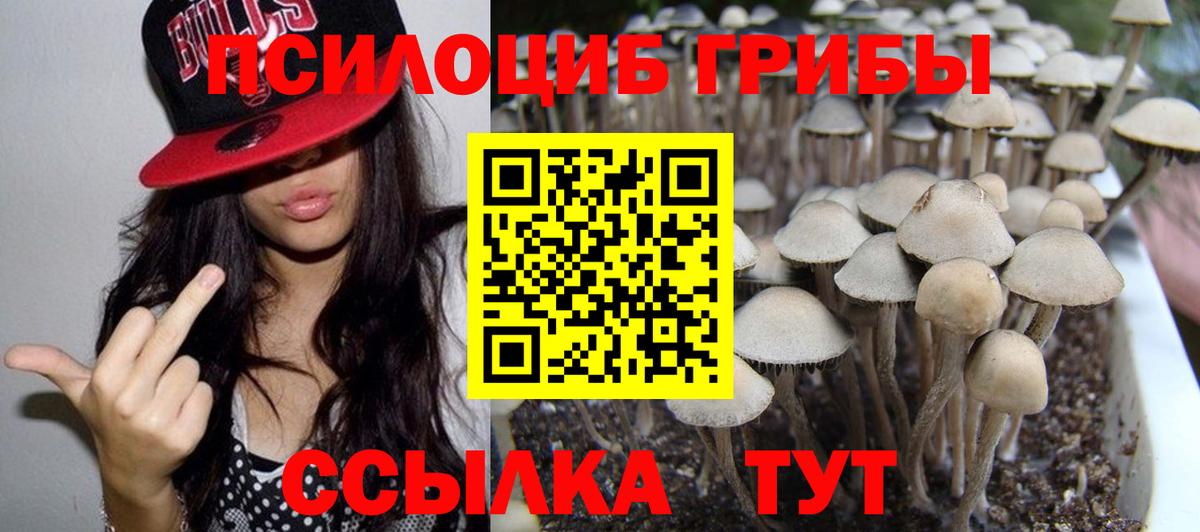 Псилоцибиновые грибы мицелий Аксай